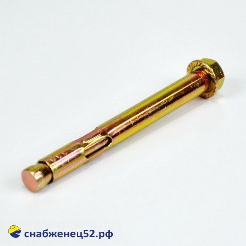 Болт анкерный с гайкой 10,0* 95