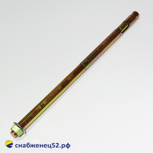 Болт анкерный с гайкой 12,0*250