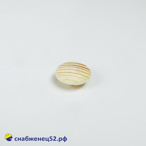 Заглушка Сосна d 4