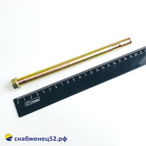 Болт анкерный с гайкой 12,0*200