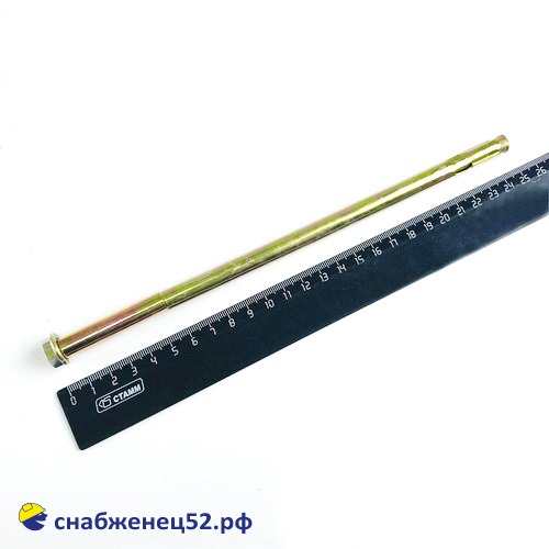 Болт анкерный с гайкой 10,0*250